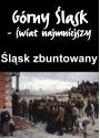 Plakat - 